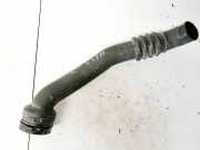 Schlauch für Luftversorgung Renault Scenic, I 1999.09 - 2003.06 facelift Gebraucht,