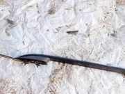 Dachreling Linke Mazda Demio, II 2000.01 - 2003.12 Gebraucht,