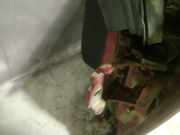 Türscharnier Vorne Dodge Journey. 2009.01 - 2014.12 Gebraucht,