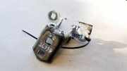 Türscharnier Hinten Renault Scenic, II 2003.06 - 2006.06 Gebraucht,