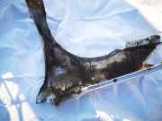 Kotflügel - Vorne Rechts Toyota Corolla, 2004.02 - 2007.02 facelift Gebraucht,