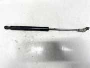 Gasdruckfeder Kofferraum Citroen C5, II 2008.02 - 2011.01 9660369880,7900210364f0
