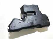 Lampenträger Heckleuchte - Hinten Rover 200, 1995.10 - 2000.03 Gebraucht,