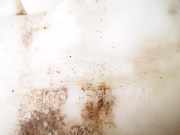 Scheibenwaschbehälter Vorne Wischwasserbehälter Peugeot 306, 1997.07 - 2000.06 9616513880,