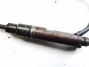 Einspritzdüse Volkswagen Passat, B5 1996.08 - 2000.11 028130201g, AFN