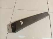 Zierleiste Leiste - Vorne Rechts Renault Scenic, II 2003.06 - 2006.06 MP5469, MP 5469 8200139601