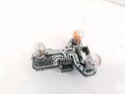 Lampentr?ger Heckleuchte - Hinten Renault Scenic, I 1996.01 - 1999.09 Gebraucht,