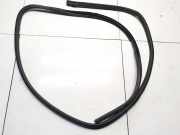 Türdichtung - Vorne Linke Nissan Leaf, I 2010 - 2017.12 Gebraucht,