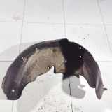 Radhausschale - Hinten Linke Hyundai Santa Fe, 2006.03 - 2012.09 Gebraucht,