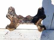 Vorderachse - Achsträger Volkswagen Golf, IV 1997.08 - 2003.10 Gebraucht,