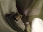 Türfangband Türbremse Türstopper - Vorne Rechts Nissan Primera, P11 1996.06 - 2001.12 Gebraucht,