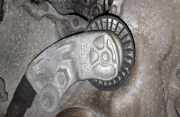Spannrolle Subaru Legacy, BL, BP 2003.09 - 2009.12 f55272401,
