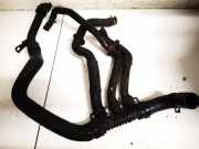 Kühlerschlauch Renault Laguna, II 2001.03 - 2006.05 7700113645,