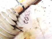 Schaltgestänge - Schaltseile Audi A6, C5 2001.08 - 2005.01 facelift 4b0711025f, 400252fjn