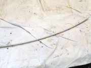 Kennzeichenleuchte Audi A6, C5 2001.08 - 2005.01 facelift Gebraucht,