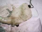 Scheibenwaschbehälter Vorne Wischwasserbehälter Opel Meriva, A 2002.12 - 2006.01 Gebraucht,