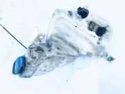 Scheibenwaschbehälter Vorne Wischwasserbehälter Volkswagen Passat, B5 1996.08 - 2000.11 3b0955453t, Afn