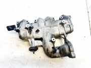 Ansaugkrümmer Audi A4, B6 2000.11 - 2004.11 038129713ap, Used