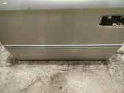 Zierleiste Tür Zier-Schutzleiste - Vorne Linke Chrysler Grand Voyager, IV 2000.02 - 2008.12 Gebraucht,