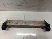 Ladeluftk?hler BMW 5-Series, F07F10 F11 2010.03 - 2016.12 1751780562906,R7368003