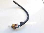 Glühbirnenfassung Blinker Ford Grand C-MAX, 2011.01 - 2019 Gebraucht,