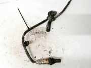 Lambdasonde - 4 Dr?hte WEISS SCHWARZ GRAU VIOLETT Toyota Aygo, 2005.07 - 2009.12 es20531,27322