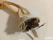 Kraftstoffpumpe Audi A4, B5 1994.11 - 1999.09 8D0919673H,8 D0 919 673 H