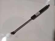 Gasdruckfeder Kofferraum Renault Vel Satis, 2002.06 - 2009.12 8200246092,8200246092