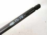 Gasdruckfeder Kofferraum Fiat Doblo, 2000.03 - 2005.10 gs0449,15f063