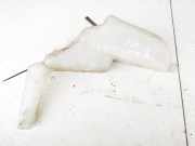 Scheibenwaschbehälter Vorne Wischwasserbehälter Opel Zafira, A 1999.04 - 2003.11 Gebraucht,