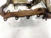 Abgaskr?mmer Toyota Corolla Verso, III 2004.05 - 2007 Gebraucht,