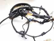 Kabelbaum Citroen DS3, I 2009.01 - 2016.06 9671963580,