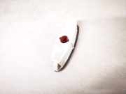 Gl?hlampe f?r T?rleuchte - Vorne Rechts Renault Laguna, II 2001.03 - 2006.05 8200003263a,8200003263-a