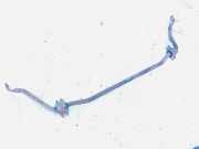 Stabilisator Stabi Hinten Hinterachse Opel Vectra, B 2000.09 - 2002.04 facelift Gebraucht,