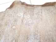 Radhausschale - Hinten Rechts Mitsubishi Eclipse Cross I 2017.01 - 2020.06 Gebraucht,