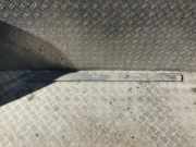 Zierleiste Tür Zier-Schutzleiste - Vorne Linke Ford Transit Connect 2002.06 - 2008.12 Gebraucht,