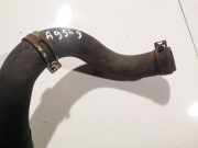 K?hlerschlauch Honda Accord, 2003.02 - 2005.09 Gebraucht,