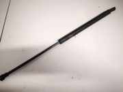 Gasfeder für Motorhaube Lexus IS, II 2005.10 - 2013.03 534400w101, 53440-0w101