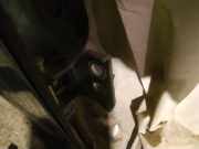 Türscharnier Vorne Citroen C4 Picasso, I 2006.01 - 2013.06 Gebraucht,