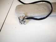 Sonnenblende Citroen C5, II 2008.02 - 2011.01 Gebraucht,