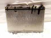 Wasserkühler Lexus RX, 2000.07 - 2003.05 Gebraucht,