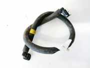 Kühlerschlauch Volkswagen Passat, B6 2005.08 - 2010.11 1300712041,