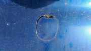 Abdeckung Abschlepphaken - Hinten Fiat Punto, 1993.09 - 1999.09 Gebraucht,