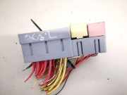 Sicherungskasten Renault Scenic, II 2003.06 - 2006.06 Gebraucht,