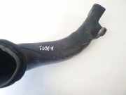 Schlauch für Luftversorgung Toyota Corolla Verso, III 2004.05 - 2007 177510r010,