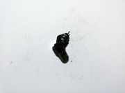 Sensor Nockenwellenposition Toyota Yaris, II (XP90) 2011.01 - 2013.12 facelift 9091905029, 0296000740