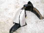 Radhausschale - Vorne Rechts Seat Ibiza, IV 2008.03 - 2012.06 Gebraucht,