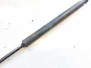 Gasdruckfeder Kofferraum Alfa-Romeo GT, 2003.11 - 2010.09 7333rl0400n,60681587