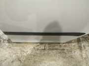 Zierleiste Tür Zier-Schutzleiste - Hinten Linke Skoda Fabia, II 5J 2007.01 - 2010.06 Gebraucht,