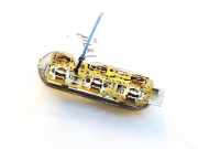 Innenraumleuchte Renault Scenic, II 2003.06 - 2006.06 Gebraucht,